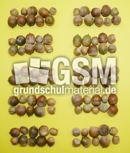 100-Haselnüsse-1.jpg